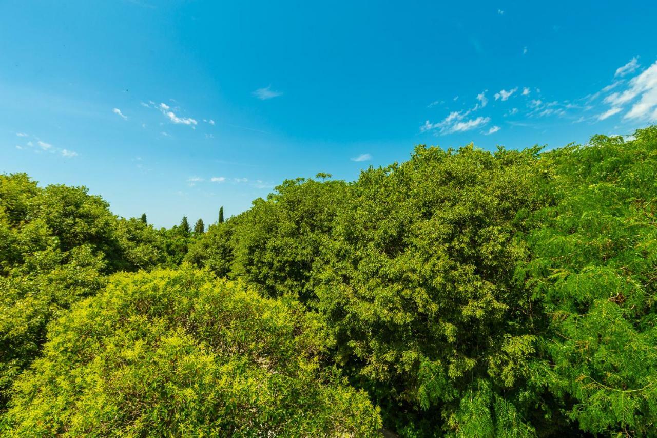 Hedera Estate, Hedera A1 Apartment Dubrovnik Ngoại thất bức ảnh